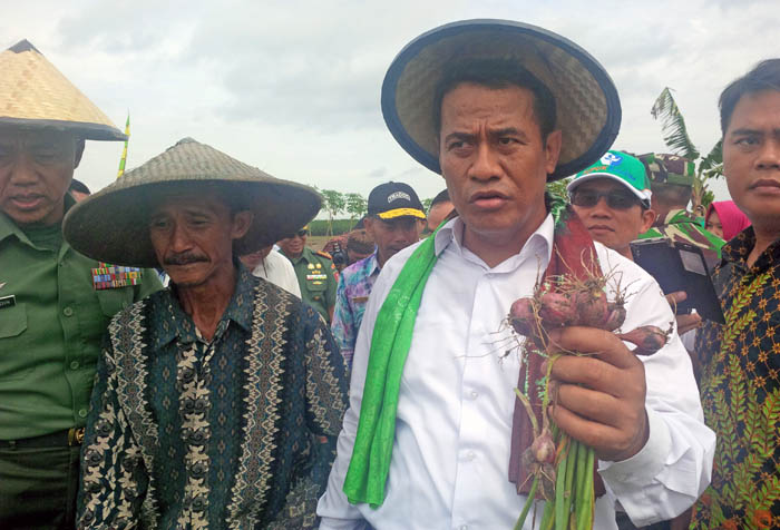 Dorong Produksi Bawang Merah Sumbar, Mentan Tanam Serentak di Solok